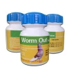 Medicines Suppliers Racing Pigeons Praziquantel Oxfendazole Worm Tablet