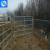 Import Metal Frame Material and Fencing,Trellis&amp;Gates Type used corral panels from China