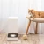 Import Mi Xiaowan Smart Pet Feeder Automatic Dog Cat Food Bowl Dispenser from China