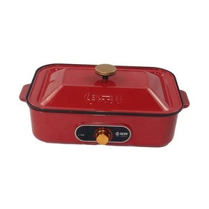 Multi-functional Compact Hot Plate with Takoyaki Maker Grill Plate