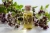 Import Natural 100% Pure Plant Therapeutic Grade Oregano Oil  Aromatherapy Essential Oils fragrances from China