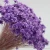 Import Natural Dried Flowers Desktop DIY Little Star Flowers Dry Flower Bunch Arrangements Decorative for Home Office Wedding Store from China