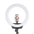 Import New 5 in 1 42cm Led Professional Lighting Studio Live Ring Light Kit With Carry Bag phone holder Tripod from China