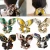Import New arrival Hair Scrunchies Ponytail Holder Silk Scarf Bow Scrunchies Hair Accessories from China