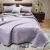 Import New Cool Silk Summer Quilt Machine Washable Single and Double Student Dormitory Summer Quilt Ice Silk Air Conditioning from China