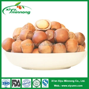 new corp high quality cultivation direct roasted cheap hazelnuts price from Ningxia Chinese
