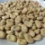 Import New crop dry fava beans broad beans with Competitive price from China
