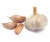 Import New Crop High Quality Fresh Normal White Garlic Purple Garlic Red Garlic from USA