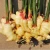 Import New Crop Round Fresh Cleaning Process Ginger With Cheap Price from China