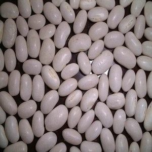New crop white kidney beans / butter bean / white bean