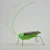 Import New Educating solar Panel powered toy grasshopper plastic electronic toy from China