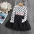 Import New fashion toddler girls boutique spring autumn long sleeve dots printed tulle princess T-shirt dress from China