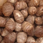 New fresh taro wholesale