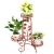 Import Nice looking competitive new arrival metal display plant stand from China