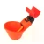 Import Nipple drinker chicken nipple drinker with cup poultry nipple drinker from China