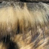 OEM Factory Directly Sale Acrylic Polyester Shaggy Faux Fur Fabric