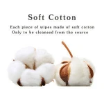 OEM Free Baby Wipe Face Samples Coconut Oil Wet Wipe