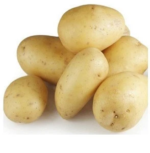 Organic fresh potatoes
