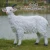 Import Outdoor decoration resin animal sculpture life size emulation cheap fiberglass sheep statue outdoor from China