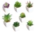 Import Pack of 6 Mini Different Succulents Artificial Plants with 6 Small Round White Planter Pots for Home Decoration in Green color from China