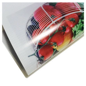 Panaflex Printing Material/PVC backlit Banner for outdoor advertising
