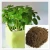 Import Peat Moss Sphagnum Substrate Garden Plant For Soil Conditioner Plant Organic Fertilizer from China