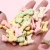 Import Pet Biscuit Training Reward Dog Snacks Molar Teeth Dog Biscuit Hawo063 from China