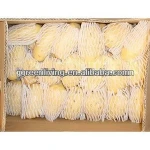 Potato for Singapore market