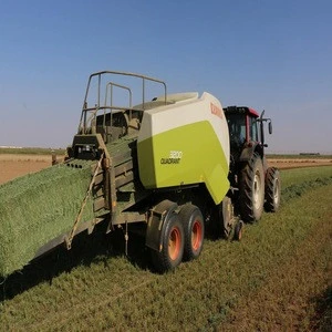 Premium Alfalfa Hay/ Timothy Hay/ Animal Feed
