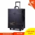 Import Professional Portable PVC / PU Leather Makeup Case with lights, cosmetic makeup luggage trolley case from China