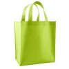 Promotional Cheap Customized Foldable Laminated Eco Fabric Tote Non-woven Shopping Bag, Recyclable PP Non Woven Bags