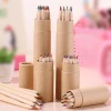 Promotional Eco-Friendly Professional Natural wood Coloured Pencil 12 Color Pencils Set With Box