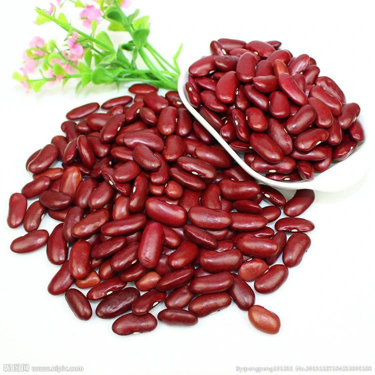 Quality assurance new design red kidney beans canned 425g canned red kidney beans