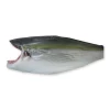 Quality Seafood Company Farmed Yellowtail Fillet Seafood Export Produced in Kagoshima