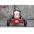 Import QWMOTO Racing adult Go Kart buggy 196CC 200CC cheap gas powered go karts for sale from China