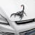 Import QY Car shape vinyl decal sticker car motorcycle accessories 3D  sticker animal bumper spider gecko scorpion Car accessories from China