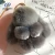Import Rabbit keychain fur, rabbit pom pom keychain from China