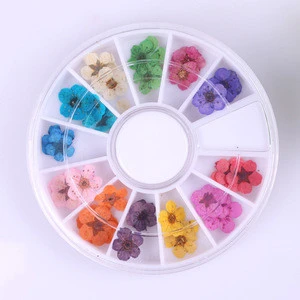 Ready To Ship Natural 3D 12 colors Nail Art Decoration Dry Flowers
