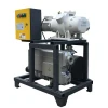 Roots pump with rotary vane vacuum pump system
