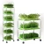 Import Seed Growing Tray Hydroponic Growing Systems Plant Pot Vegetable Bean Sprout Planting Plate from China