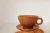 Import Set of coconut wooden tea cups and saucers from Vietnam from Vietnam