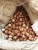 Import Shifa Brand Turkish Hazelnuts - Raw Natural - Origin Turkey from Republic of Türkiye
