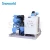 Import Snoworld China Famous Brand 5 Ton Ice Flake Machine for Fish from China