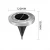 Import solar outdoor garden ground lamp from China