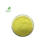 Sophora Japonica Extract Quercetin 95% HPLC quercetin powder