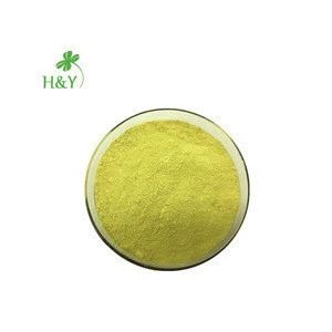 Sophora Japonica Extract Quercetin 95% HPLC quercetin powder