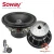 Import Soway new products 15inch 6000W MAX SW-1560 speaker subwoofer from China