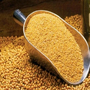 Soybean Protein Corn Gluten Meal Animal Feed,Corn Gluten Meal / Animal feed