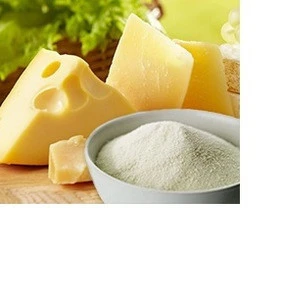 Spray Dried Cheese Powder/Food Ingredients 2019