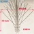 Import Stainless Steel Defender Durable Bird Spikes for Pest Control from China
